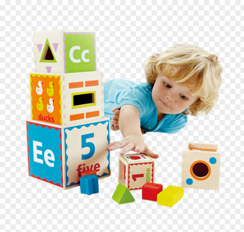 Toy Educational Toys Hape Holding Amazon.com Game PNG