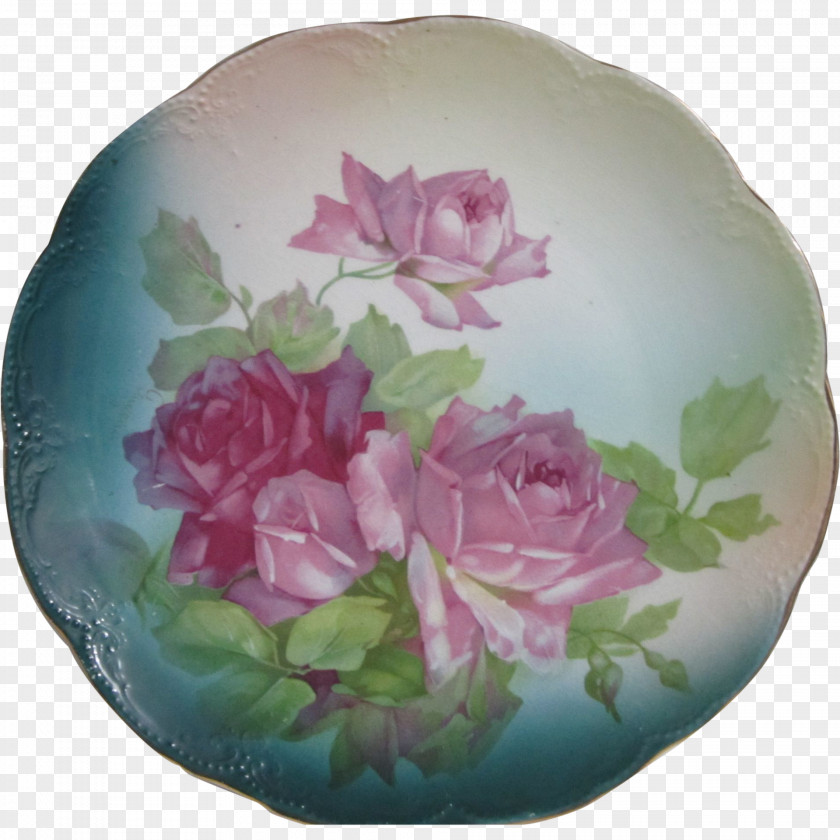 Vase Centifolia Roses Porcelain Petal PNG