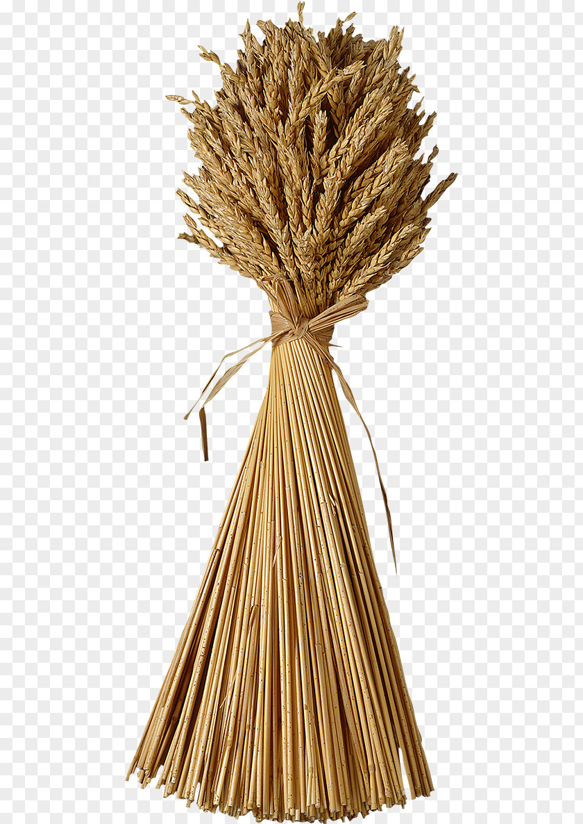 Wheat Download Clip Art PNG