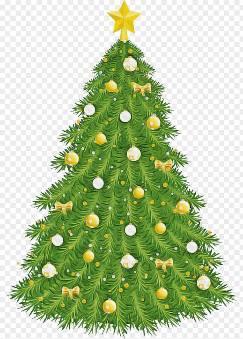 Christmas Tree PNG