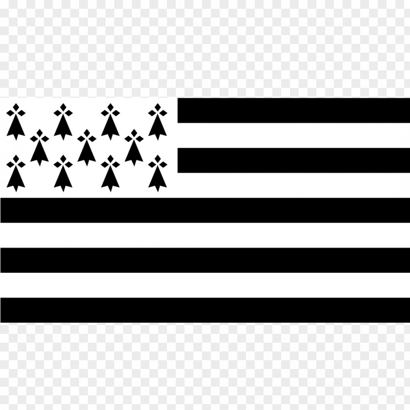 Collective Intelligence Flag Of Brittany Breton National PNG