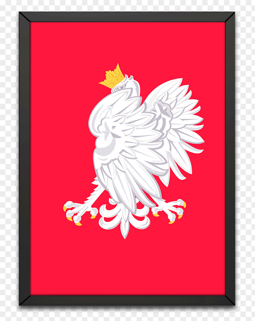Eagle Coat Of Arms Poland Flag PNG