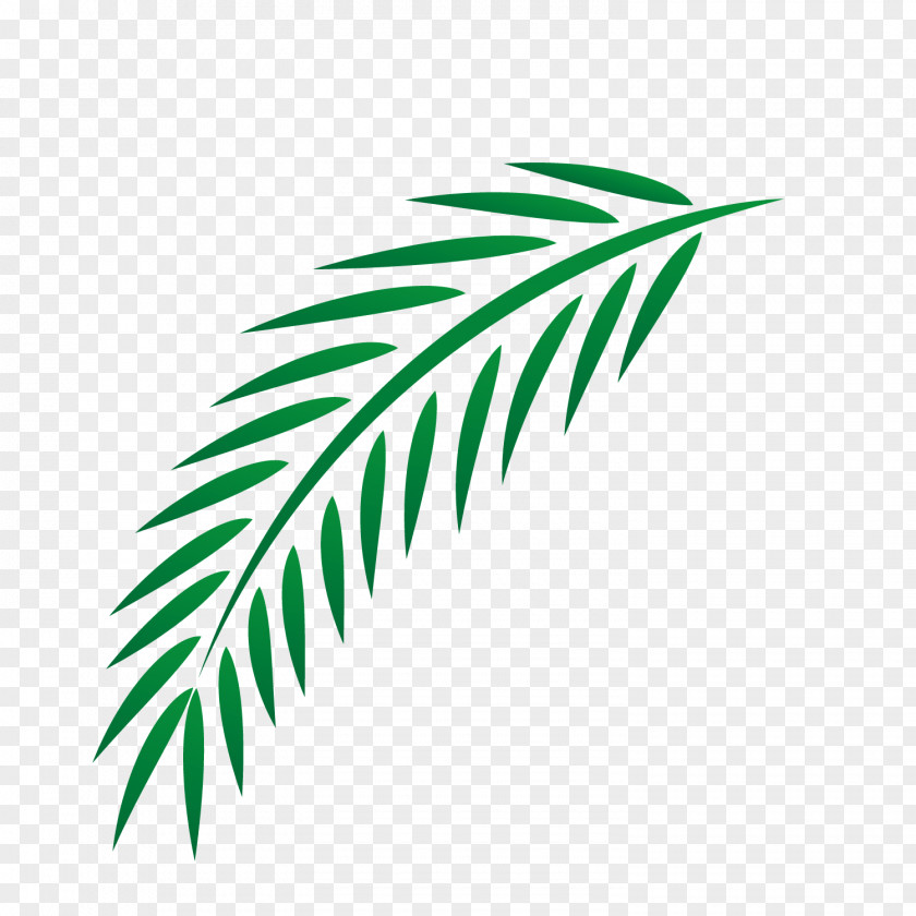 Easter Palm Leaves Leaf Euclidean Vector PNG