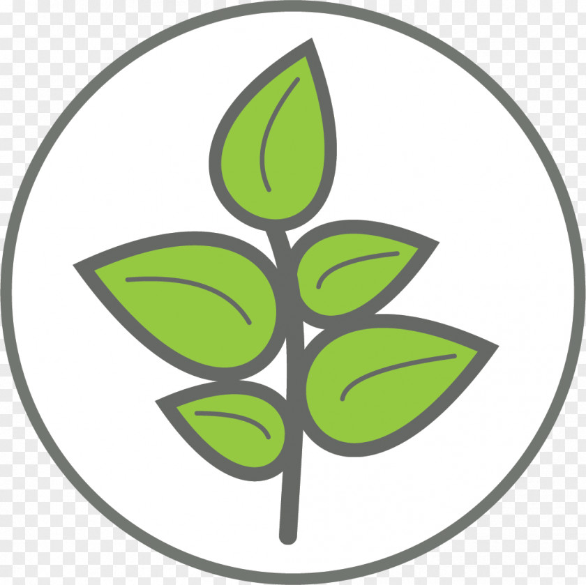 Emblem Logo Green Leaf PNG