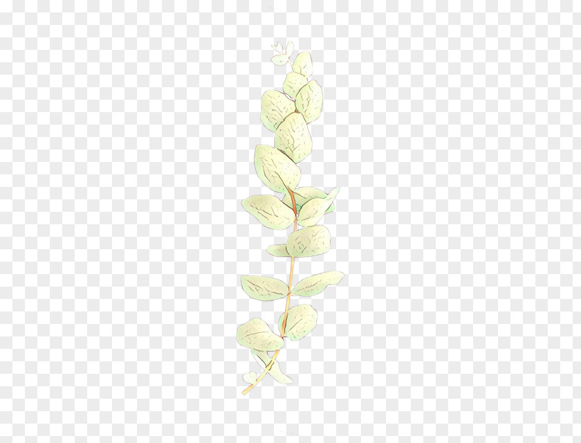 Flowering Plant Pedicel White Flower PNG