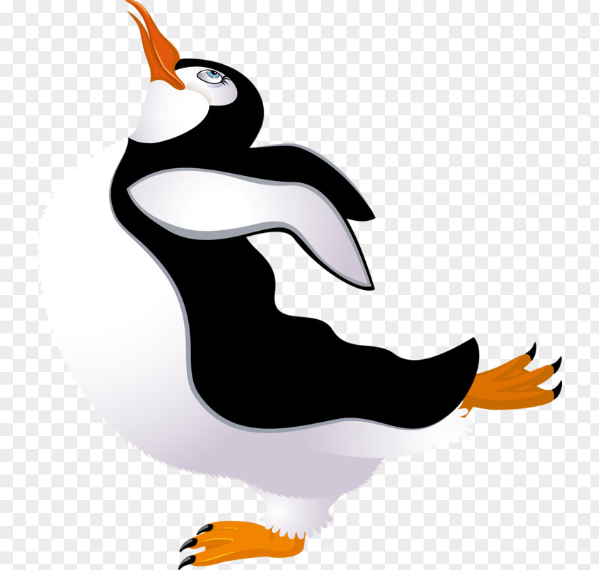 Flying Penguin Clip Art PNG