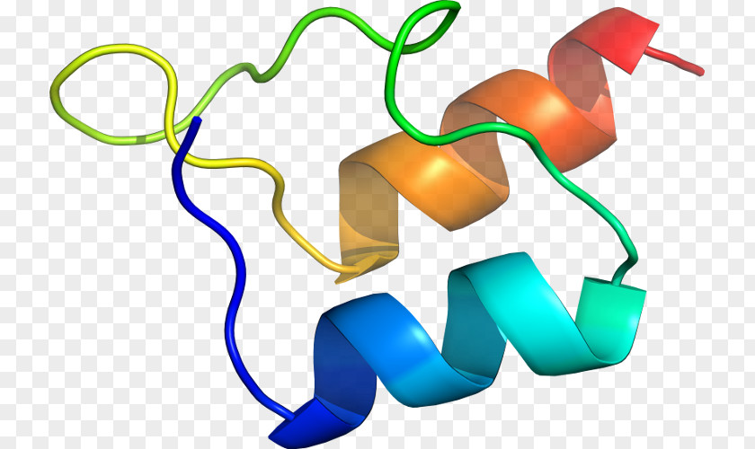 Mycoplasma Product Design Clip Art Line Organism PNG