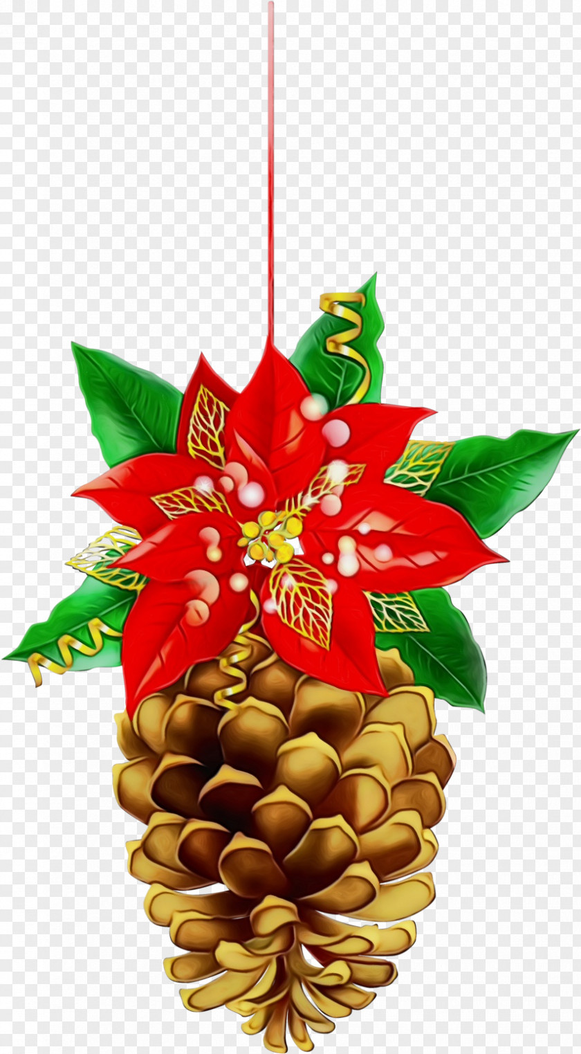 Ornament Anthurium Christmas Decoration PNG