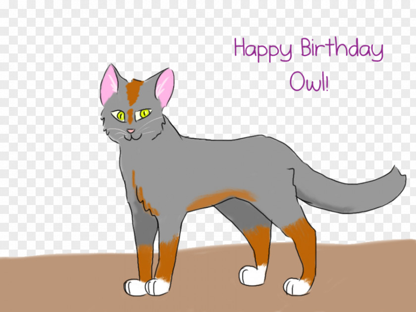 Owl Birthday Whiskers Domestic Short-haired Cat Dog Cartoon PNG