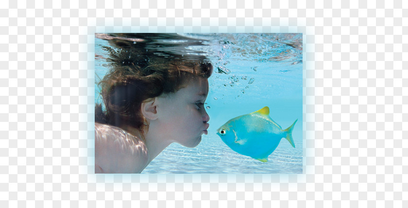 SWIMMING POOL WATER Child Piscina Bioclimática Underwater Photography PNG
