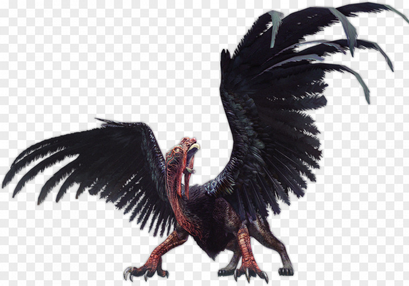 Fantasy World Dragon's Dogma Online Rooster Cockatrice PNG