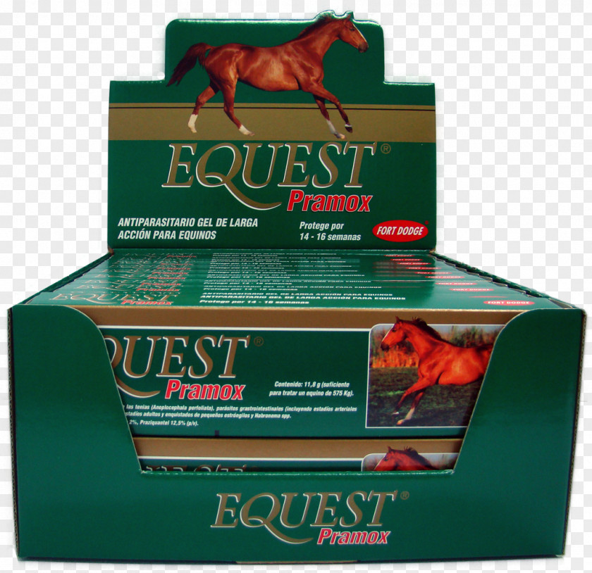Horse Horses Antiparasitic Moxidectin Veterinary Medicine PNG