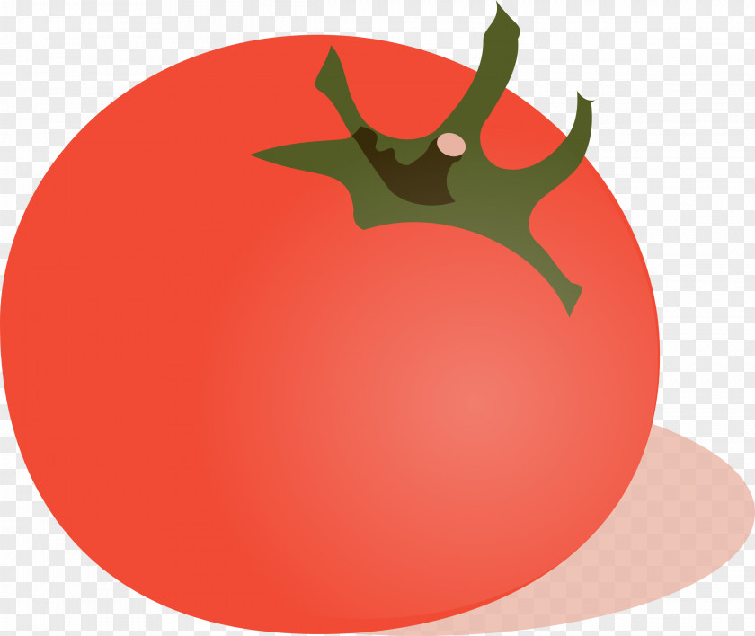 Tomato Cherry Vegetable Clip Art PNG