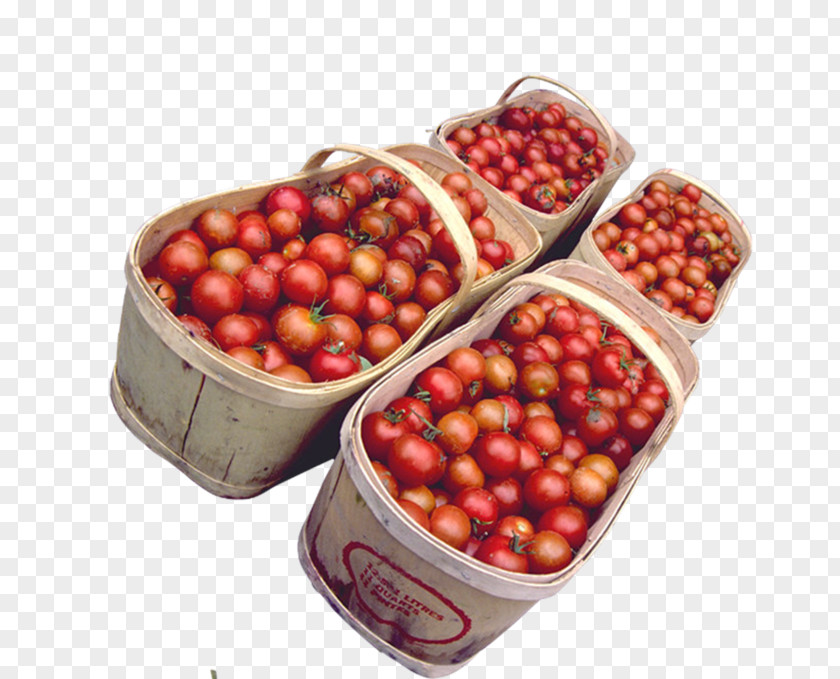 Tomato Cranberry Salad Crop Yield Vegetable PNG
