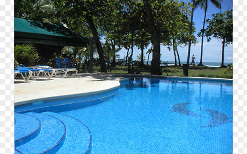 Beach Seaside Resort Swimming Pool Hotel PNG