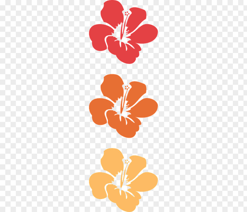 Flower Hawaiian Hibiscus Shoeblackplant Clip Art PNG