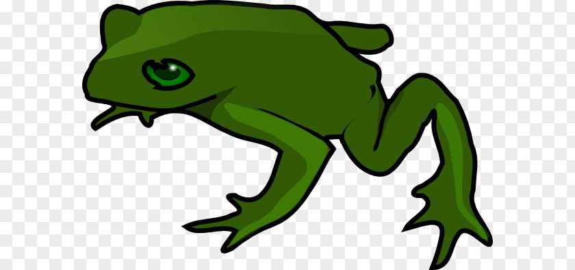 Frog Photos Free Kermit The Clip Art PNG
