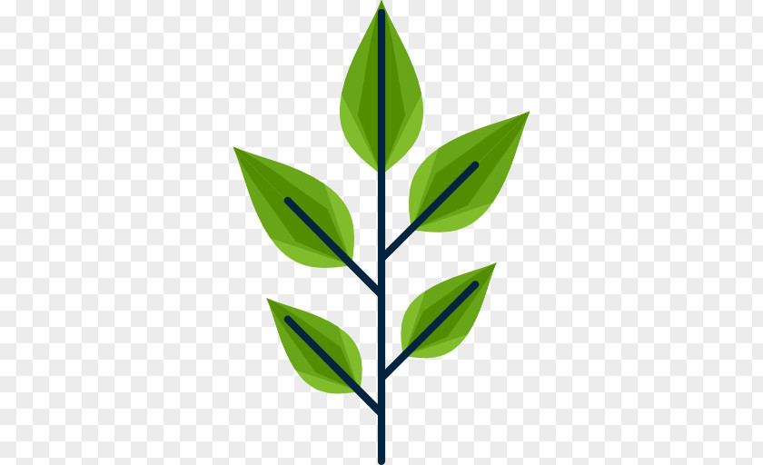 Icon Drawing Leaf PNG