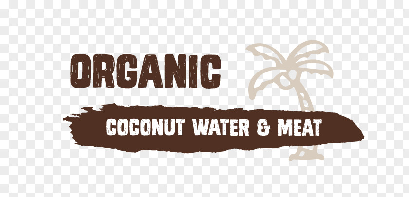 YOUNG COCONUT Coconut Water Raw Foodism Thai Cuisine PNG