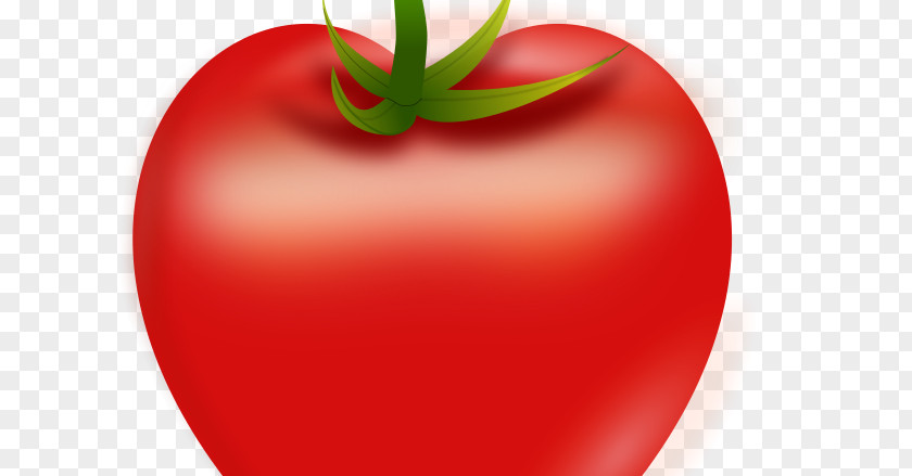 Addiction Mental Health Food Plum Tomato Heart Vector Graphics Euclidean Clip Art PNG