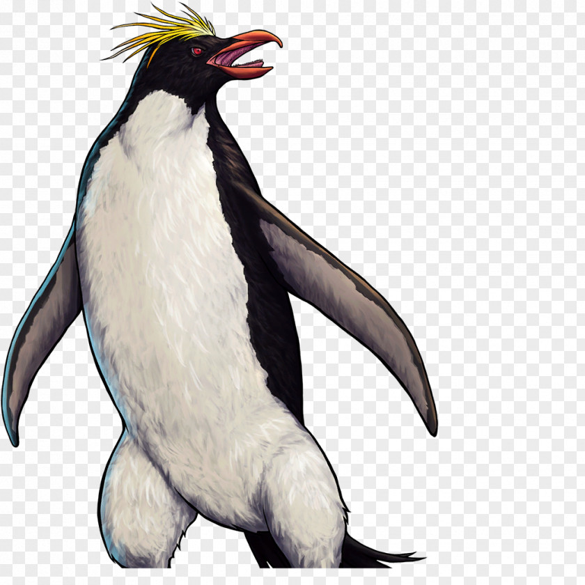 Antartic Penguins King Penguin Southern Rockhopper Flipper PNG