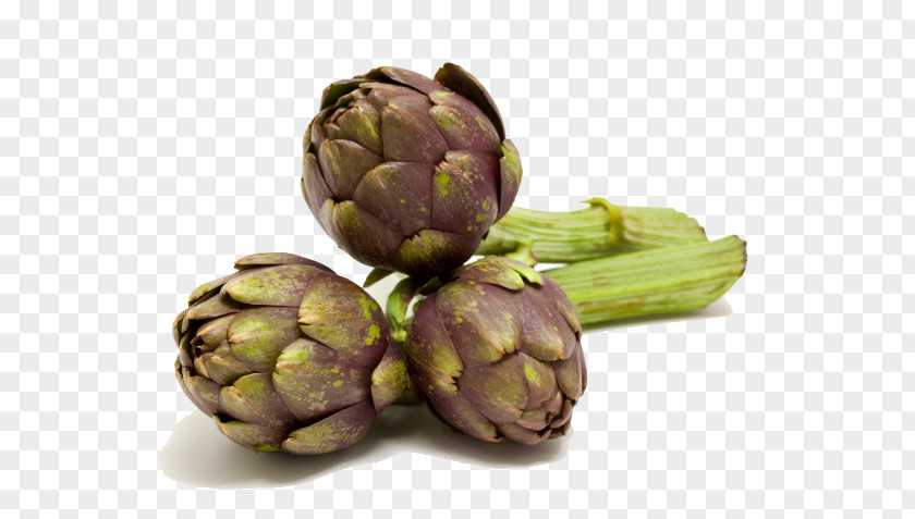 Artichokes Free Download Artichoke Carciofi Alla Giudia Vegetable Food PNG