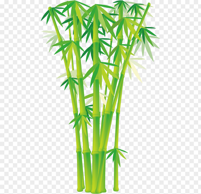 Cartoon Bamboo Vector Euclidean Clip Art PNG