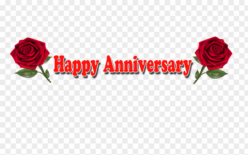 Happy Anniversary Garden Roses Love YouTube Desktop Wallpaper PNG