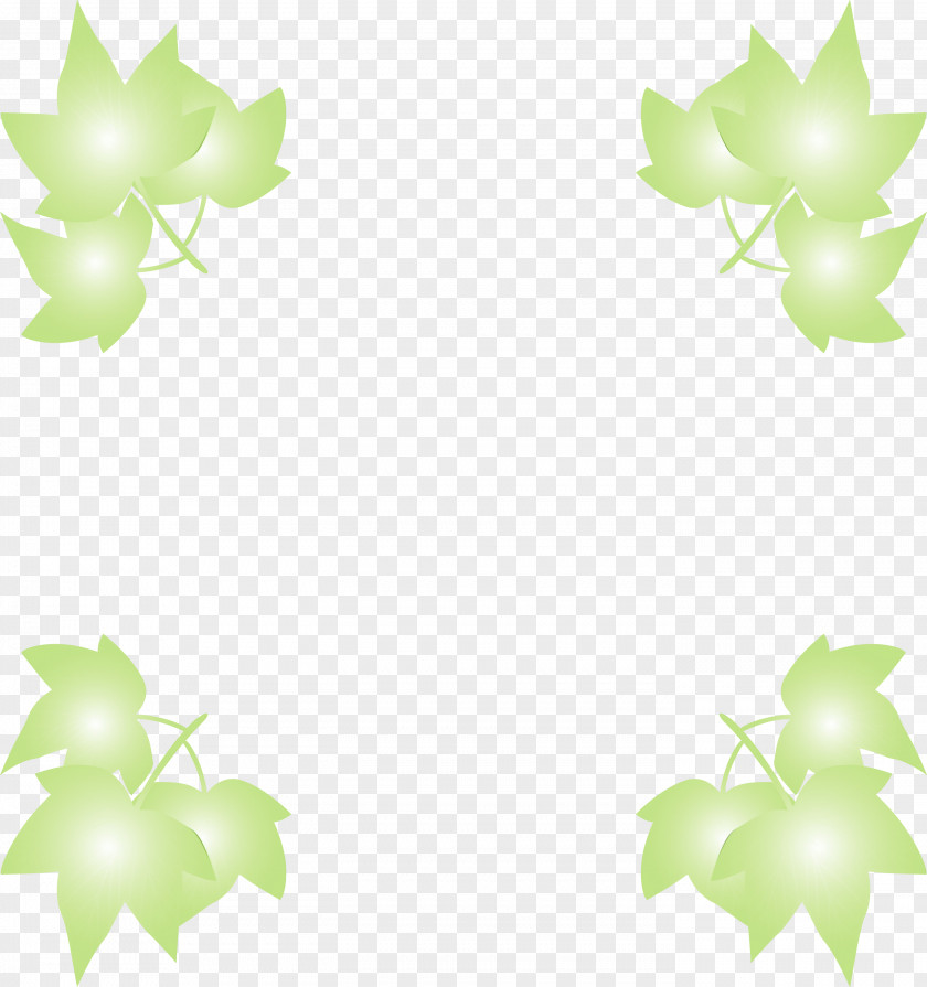 Maple Leaf PNG