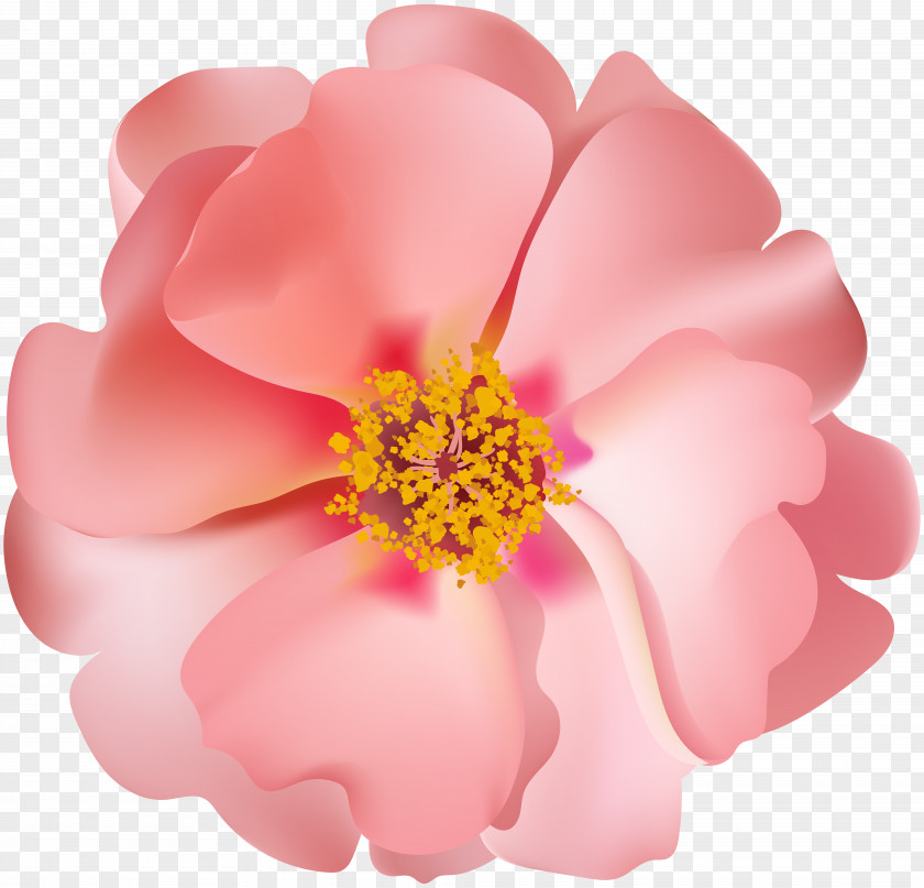 Rose Desktop Wallpaper Clip Art PNG