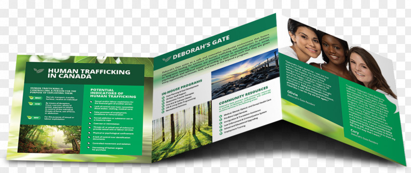 Trifold Brochures Advertising Computer Software Communication Brand Brochure PNG