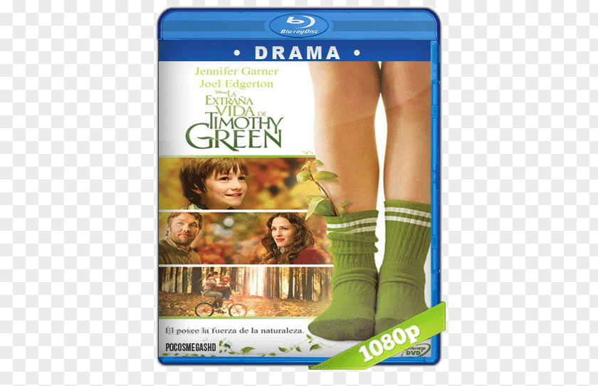 Green Hispanic Timothy Film Blu-ray Disc Child Family PNG