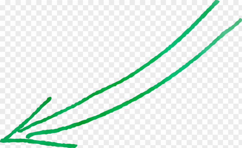 Green Line PNG