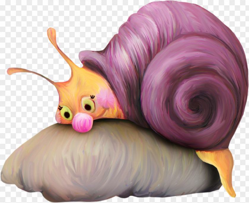 Snails Snail Watercolor Painting Clip Art PNG