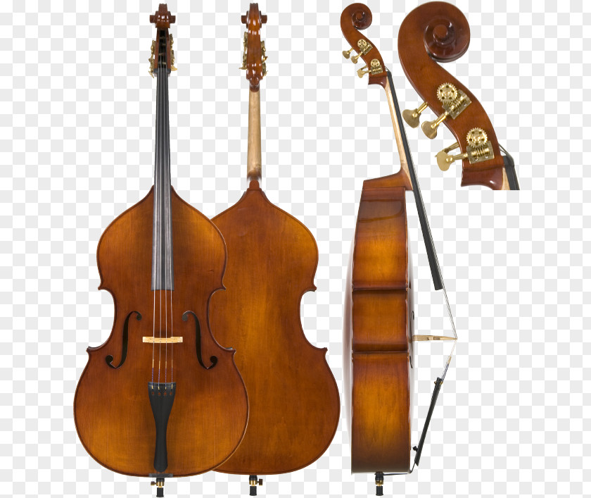 Violin Cello Double Bass String Instruments Musical PNG