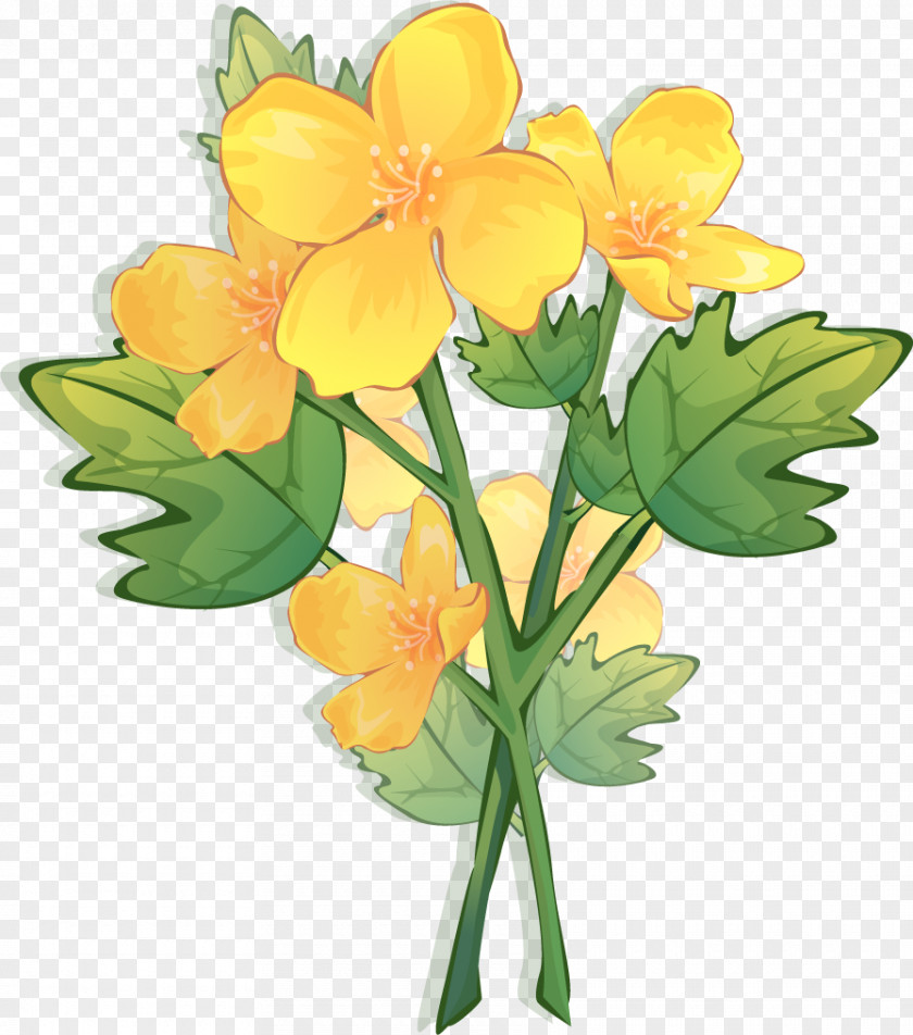 Flower Floral Design Picture Frames Yellow Color PNG
