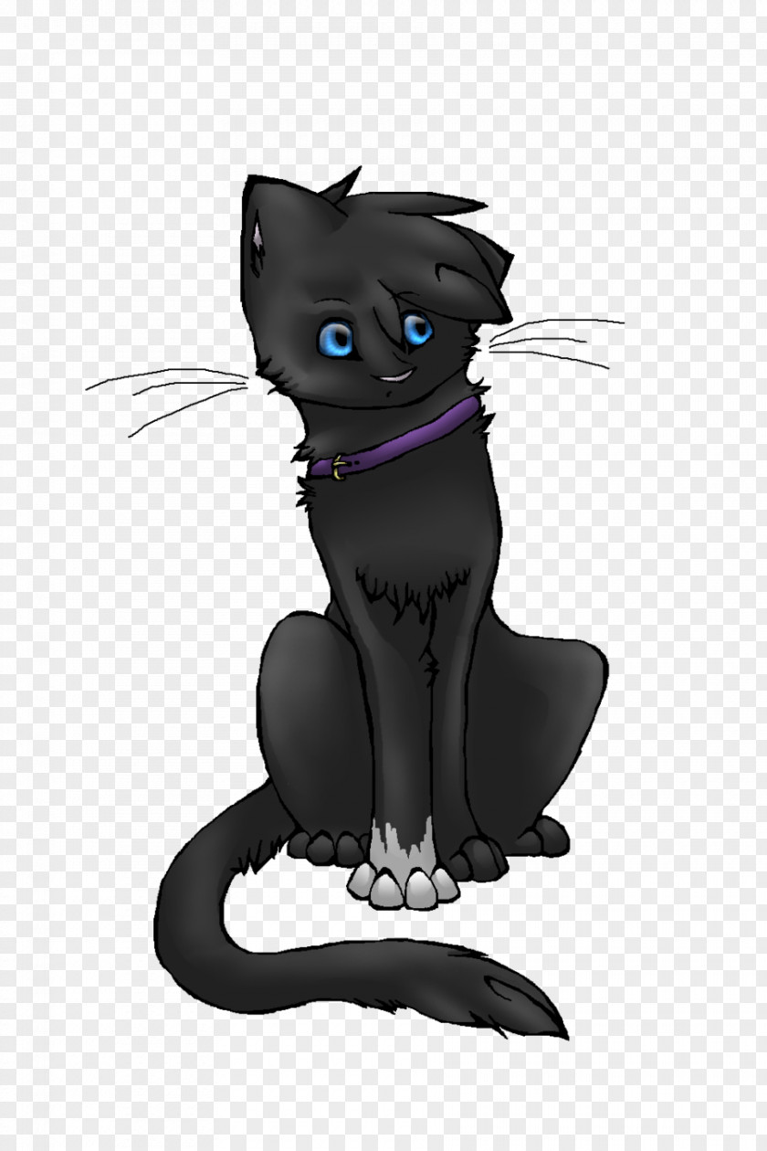 Kitten Black Cat Whiskers Warriors PNG