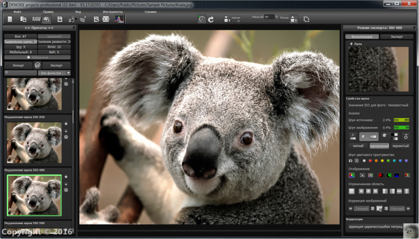 Koala Image Editing Adobe Photoshop Elements Systems Computer Software PNG