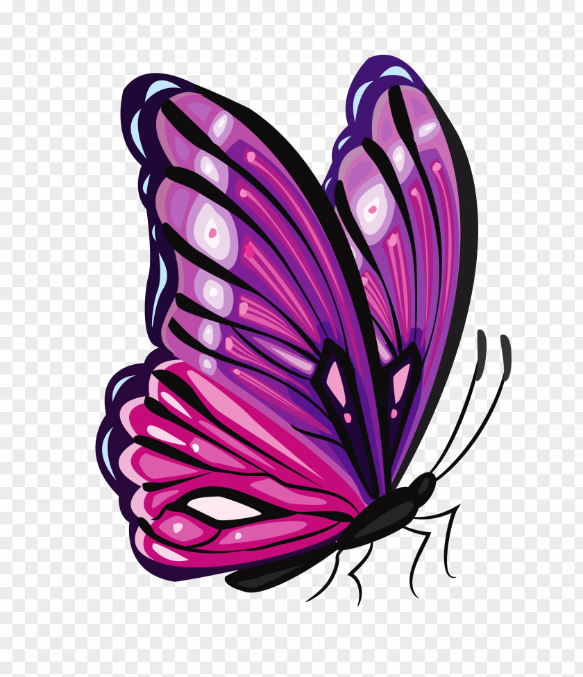 Purple Butterfly Clipart Picture Clip Art PNG
