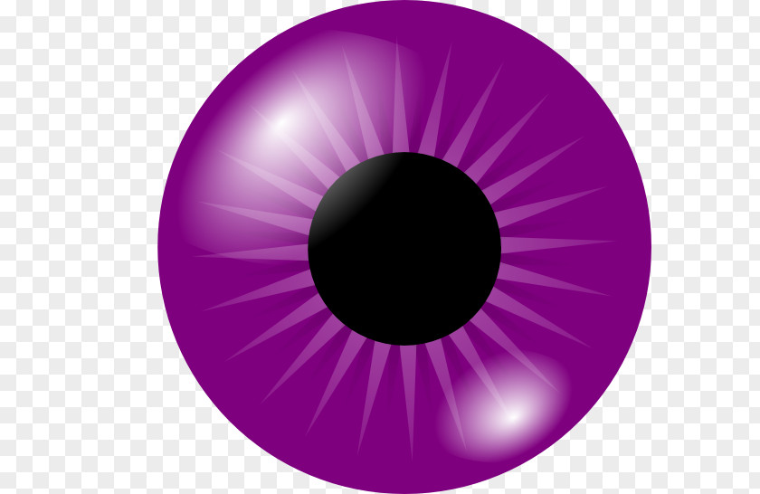 Purple Eyebrow Brown Clip Art PNG