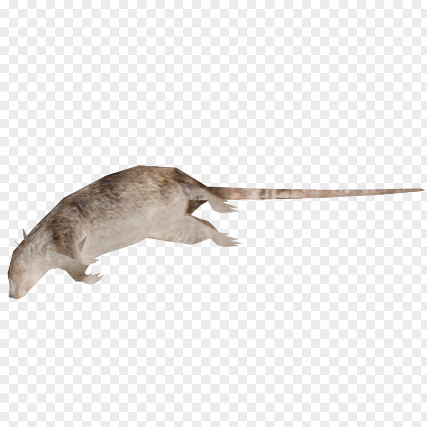 Rat Brown Mouse Laboratory Rodent PNG