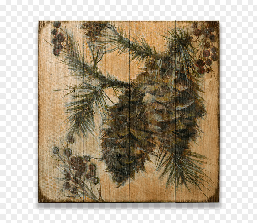Design Fir Pine Conifer Cone Spruce PNG