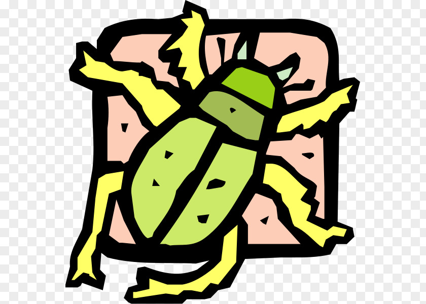 Insect Beetle Drawing Clip Art PNG