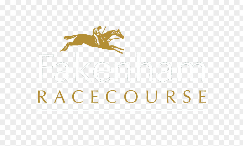 ROYAL HORSE Fakenham Racecourse Race Track Norwich Horse Racing PNG