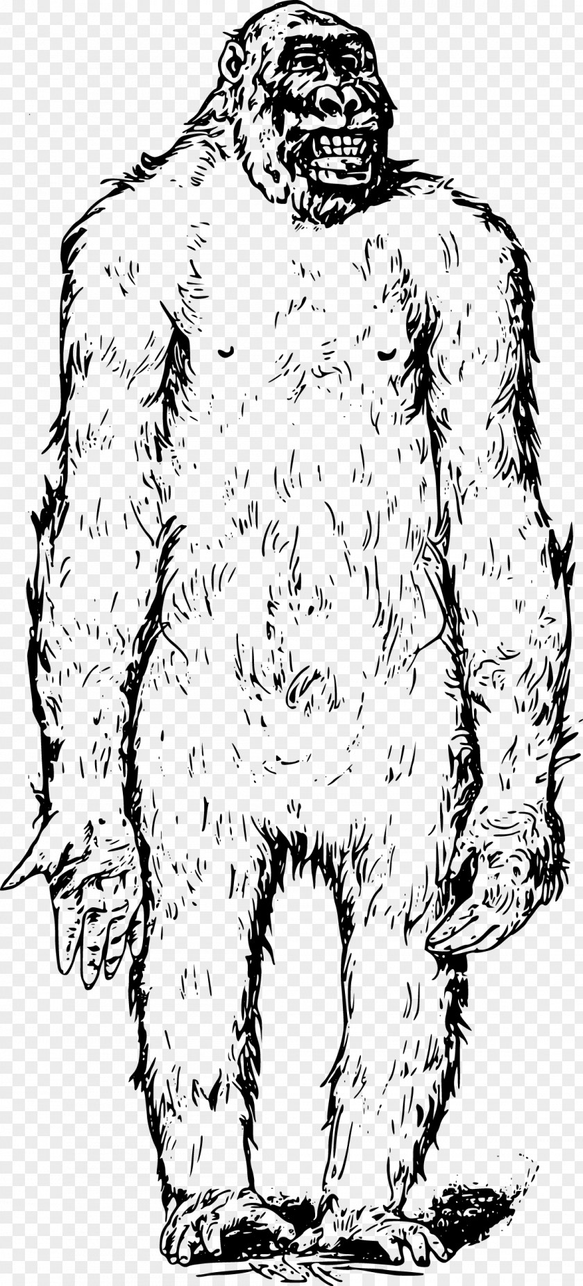 Vector Snowman Bigfoot Ape Clip Art PNG