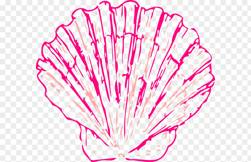 Conch Seashell Clam Clip Art PNG