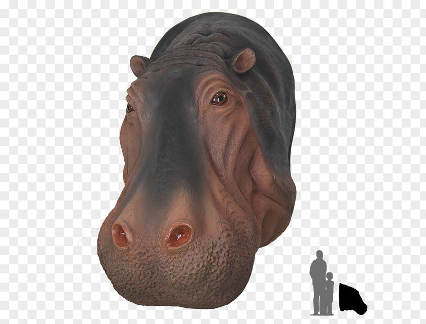 Hippo Hippopotamus Pig Rhinoceros Animal Dog PNG