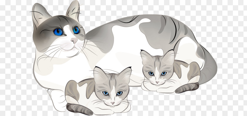 Scrutinize Cliparts Kitten Cat Clip Art PNG