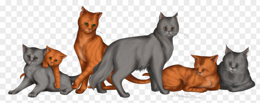 Cat Firestar Graystripe Warriors Silverstream PNG