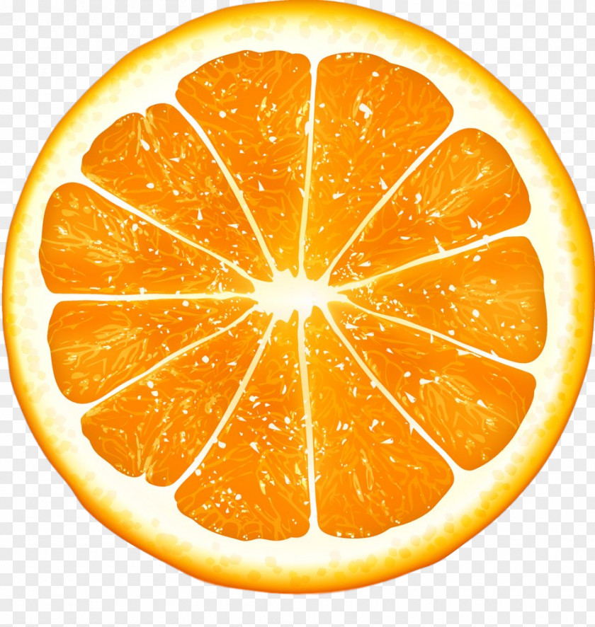 Orange PNG